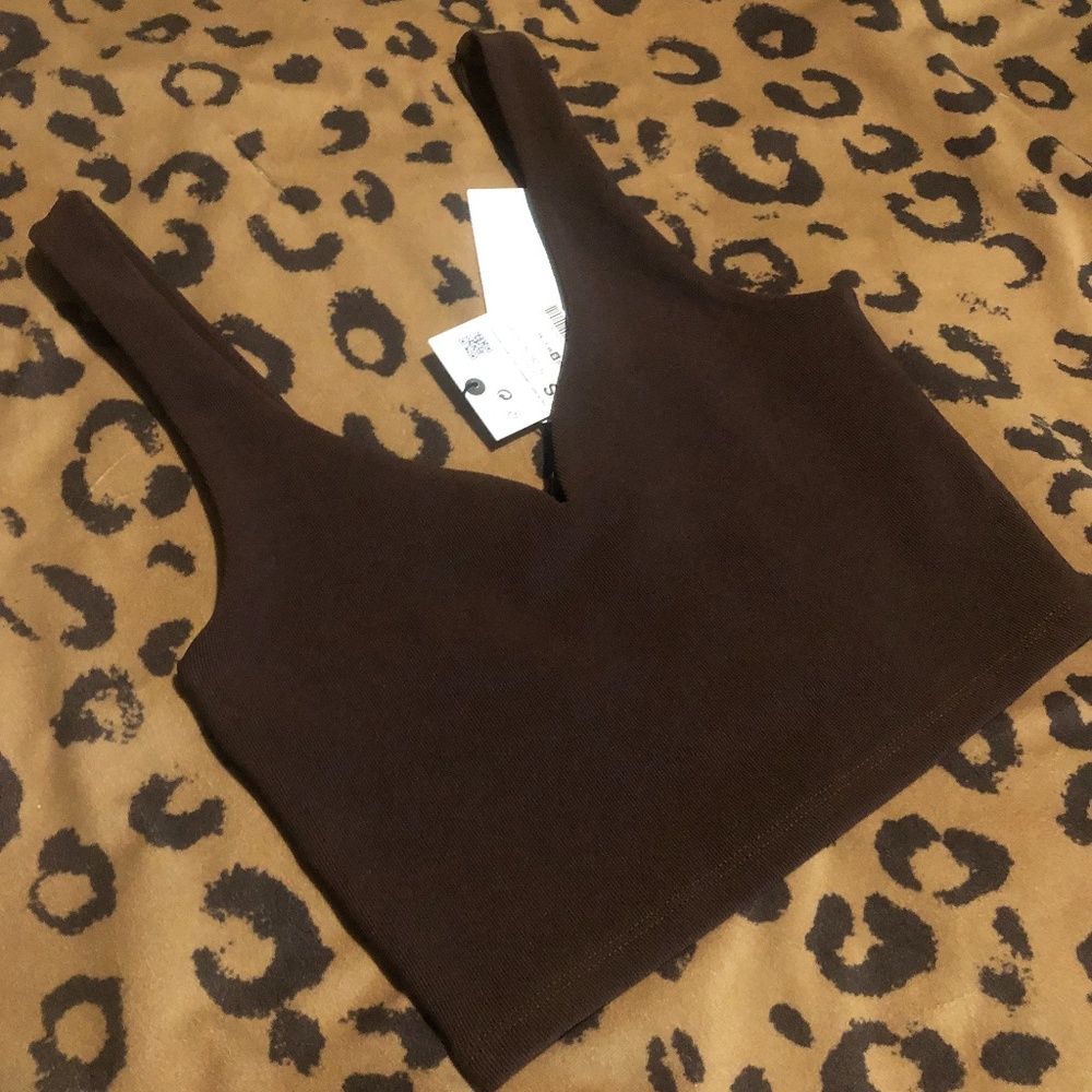 NWT Zara Brown Seamless Crop Top